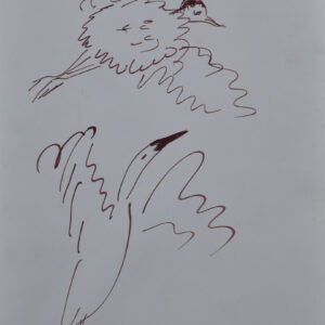 Regazzoni, Carlos Alberto