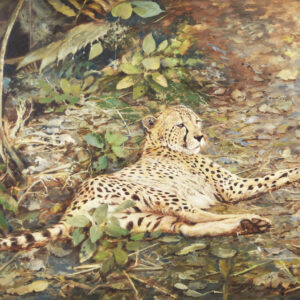 Lucarini, Camilo