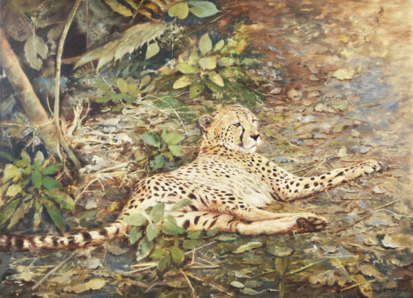 Lucarini, Camilo